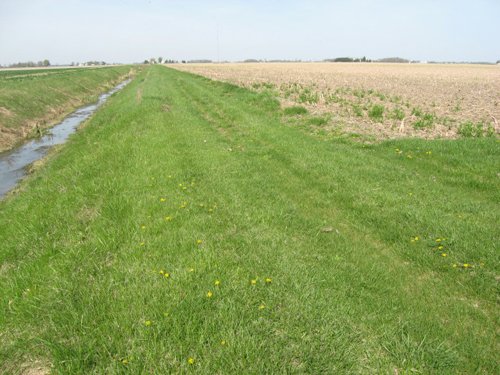 Property photo 17 - 172 Acres Offered in 3 Tracts - Prime Farmland